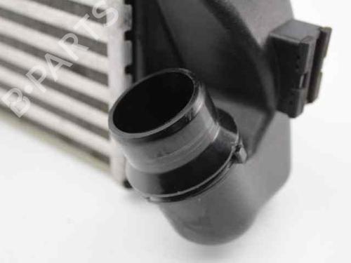 Intercooler FIAT 500 C (312_) 1.3 D Multijet (312CXE1A, 312AXE1A) | BP22361453M30 