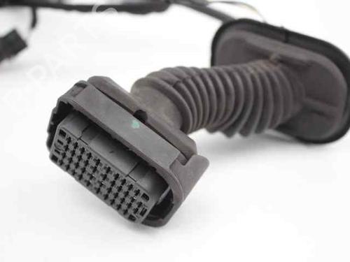 Wiring harness RENAULT CLIO III (BR0/1, CR0/1) 1.5 dCi (BR17, CR17) | BP19225813E16 