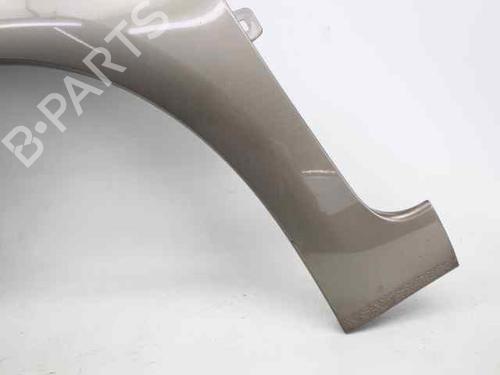 Left front fenders CITROËN C4 Picasso I MPV (UD_) 1.6 HDi 110 | BP29873177C41 