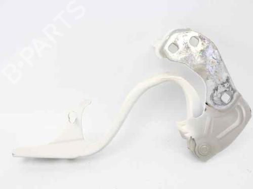 Hinge/Door check strap FIAT 500 (312_) 1.2 (312AXA1A) | BP29986850C146