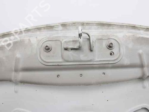 Hood RENAULT CLIO III (BR0/1, CR0/1) 1.5 dCi (BR17, CR17) | BP19221840C1