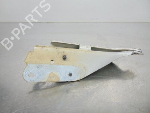 Hinge/Door check strap CITROËN C3 I (FC_, FN_) 1.1 i | BP19196137C146 