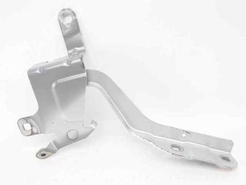 Hinge/Door check strap RENAULT CLIO IV (BH_) 0.9 TCe 90 (BHNF, BHMA, BHMH, BHJK, BHJR) | BP29986928C146