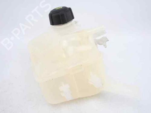 Expansion tank RENAULT GRAND SCÉNIC III (JZ0/1_) 1.5 dCi (JZ09, JZ0D, JZ10, JZ14, JZ1G, JZ29, JZ2C) | BP19233712C120 