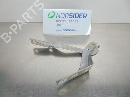 Used Hinge/Door check strap PEUGEOT 307 (3A/C) 1.4 HDi (68 hp) 19198609