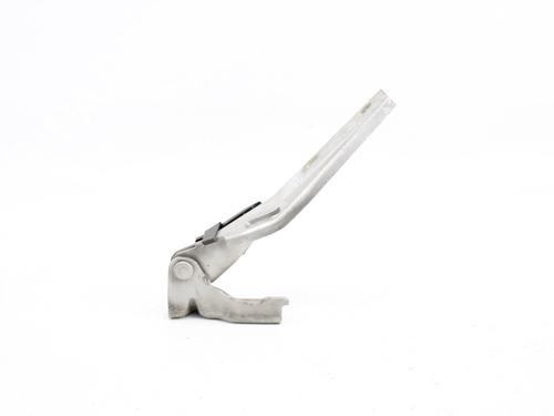 Hinge/Door check strap SEAT LEON (1M1) 1.4 16V | BP19214406C146 