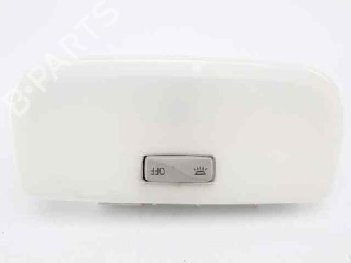 Used Interior roof light RENAULT MEGANE III Grandtour (KZ0/1) 1.5 dCi (KZ09, KZ0D, KZ1G, KZ29, KZ14, KZ1W, KZ10, KZ1F,... (110 hp) 19222832