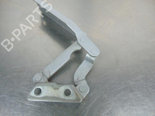 Hinge/Door check strap MERCEDES-BENZ A-CLASS (W168) A 170 CDI (168.009, 168.109) | BP19201929C146 