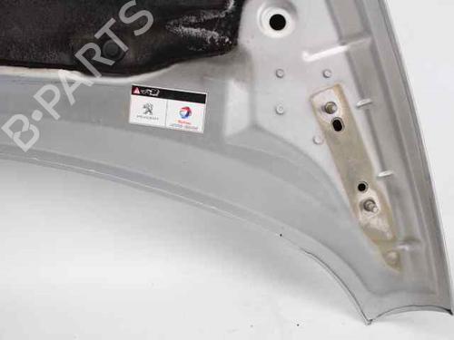 Hood PEUGEOT 3008 I MPV (0U_) 1.6 HDi | BP24651670C1 