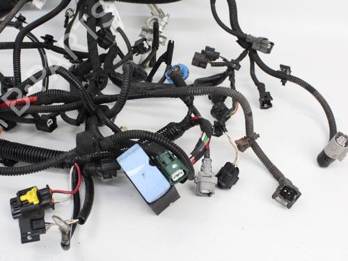 Wiring harness RENAULT CLIO IV (BH_) 1.5 dCi 75 | BP19204585E16 