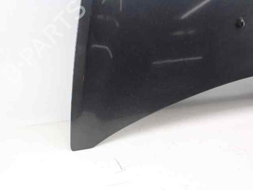 Hood RENAULT CLIO III Grandtour (KR0/1_) 1.5 dCi (KR0F) | BP19221313C1 