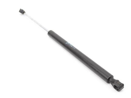 Tailgate lift support RENAULT TWINGO I (C06_) 1.2 (C066, C068) | BP19208940C138 