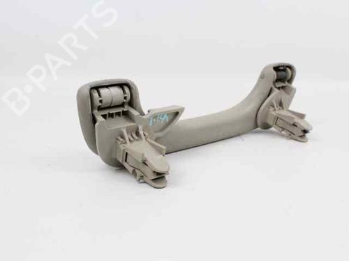 Interior roof handle RENAULT MEGANE II Estate (KM0/1_) 1.5 dCi (KM0F, KM0T, KM2B) | BP19206851I35 