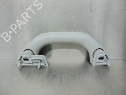 Interior roof handle VW GOLF IV (1J1)  | BP19193798I35 
