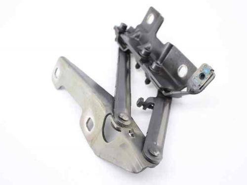 Hinge/Door check strap OPEL INSIGNIA A Saloon (G09) 2.0 CDTI (69) | BP21756080C146 