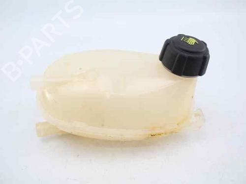 Expansion tank RENAULT CAPTUR II (HF_)  | BP19228618C120 