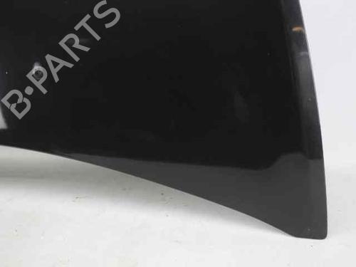 Hood RENAULT CLIO III Grandtour (KR0/1_) 1.2 16V (KR02, KR0J) | BP19245401C1