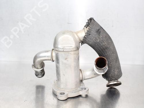 Egr FIAT GRANDE PUNTO (199_) 1.3 D Multijet (199.AXD11, 199.AXD1A, 199.AXD1B,... | BP19201584M69