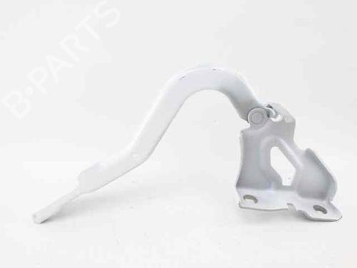 Hinge/Door check strap DACIA JOGGER (RK_) 1.0 TCe 90 ECO-G (RKMT) | BP31366936C146