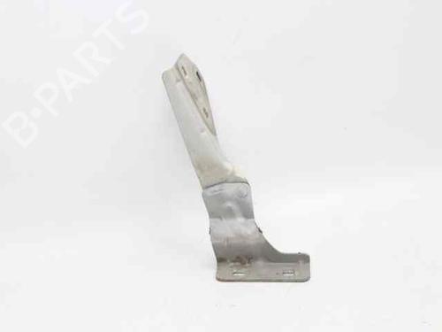 Hinge/Door check strap RENAULT MEGANE II Estate (KM0/1_) 1.5 dCi (KM0F, KM0T, KM2B) | BP19206840C146 