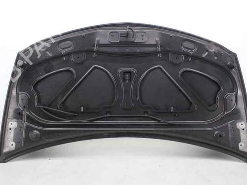 Hood RENAULT CLIO III Grandtour (KR0/1_) 1.2 16V (KR02, KR0J) | BP19245401C1