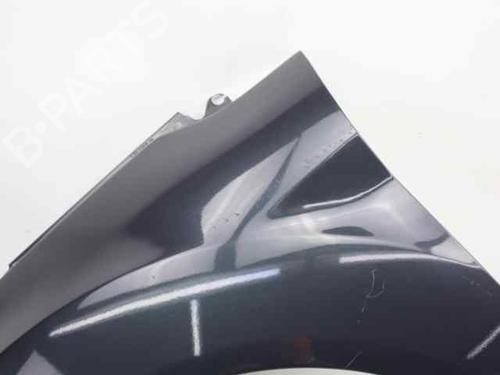 Left front fenders FORD FIESTA VI (CB1, CCN) 1.0 EcoBoost | BP28069632C41 