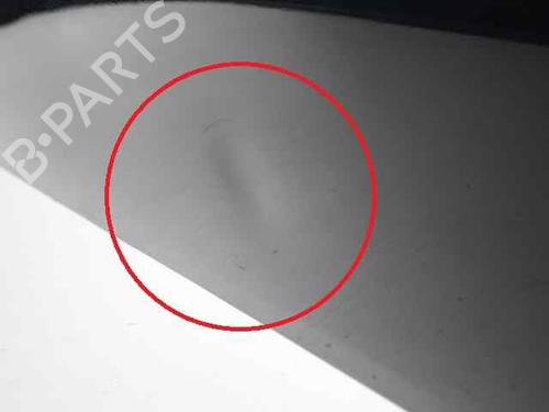 Left rear door BMW 3 (E90)  | BP23334743C4 