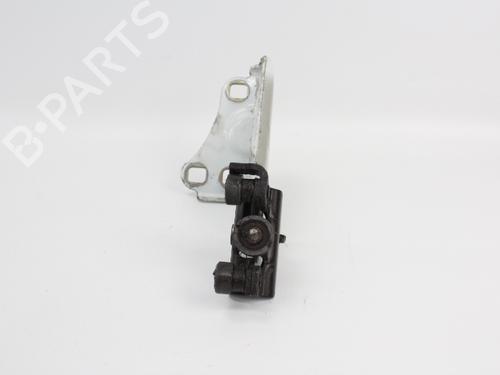 Hinge/Door check strap RENAULT KANGOO Express (FC0/1_) D 55 1.9 (FC0D) | BP19203527C146 