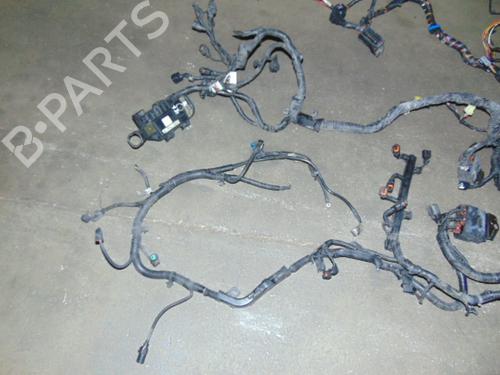 Wiring harness HYUNDAI GETZ (TB)  | BP19188053E16 