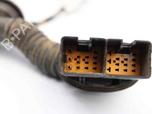 Wiring harness FORD FOCUS II Turnier (DA_, FFS, DS)  | BP19219264E16 
