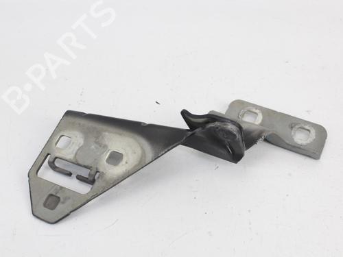 Hinge/Door check strap RENAULT MEGANE II Estate (KM0/1_) 1.5 dCi (KM0F, KM0T, KM2B) | BP19205599C146 