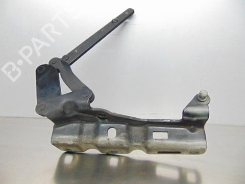 Hinge/Door check strap MERCEDES-BENZ C-CLASS (W203)  | BP19191430C146 