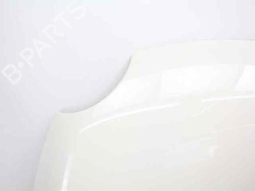 Hood FIAT 500 (312_) 1.2 (312AXA1A) | BP29986879C1