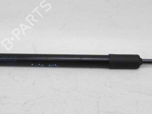 Hood lift support VW GOLF VII (5G1, BQ1, BE1, BE2) 1.0 TSI | BP21198536C139 
