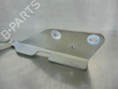 Hinge/Door check strap CITROËN C3 I (FC_, FN_) 1.4 HDi | BP19197260C146 