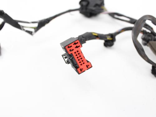Wiring harness FORD FOCUS II (DA_, HCP, DP)  | BP19215699E16 
