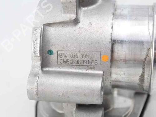 Fuel intake system FORD FIESTA VI (CB1, CCN) 1.0 EcoBoost | BP28069671M97 