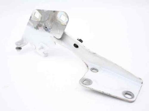 Used Hinge/Door check strap RENAULT MEGANE III Grandtour (KZ0/1) 1.5 dCi (KZ09, KZ0D, KZ1G, KZ29, KZ14, KZ1W, KZ10, KZ1F,... (110 hp) 21049860