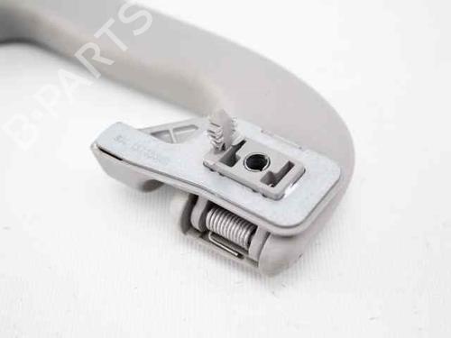 Interior roof handle OPEL ZAFIRA / ZAFIRA FAMILY B (A05) 1.9 CDTI (M75) | BP19226723I35 