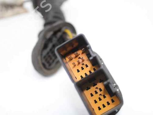 Wiring harness FORD FOCUS C-MAX (DM2)  | BP19221754E16 