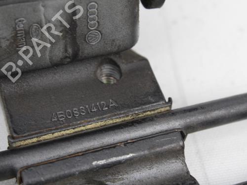 Hinge/Door check strap AUDI A6 C5 Avant (4B5)  | BP19207406C146 