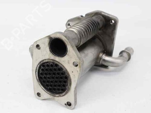 Used Egr RENAULT CLIO IV (BH_) 1.5 dCi 75 (75 hp) 19204599