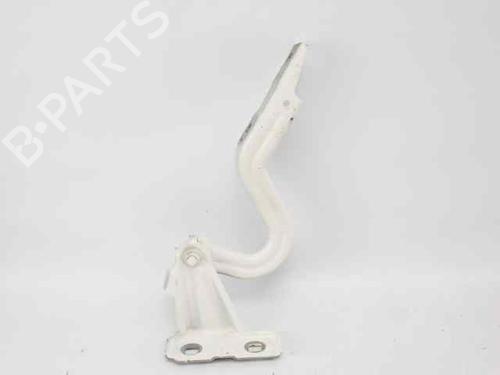 hingedoor-check-strap-fiat-500l-351_-352_-2012-33059948 main image