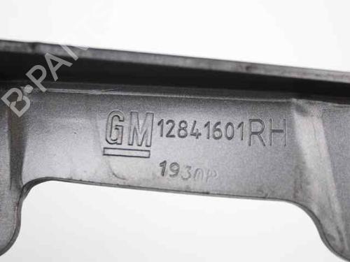 Hinge/Door check strap OPEL INSIGNIA A Saloon (G09) 2.0 CDTI (69) | BP21756080C146 