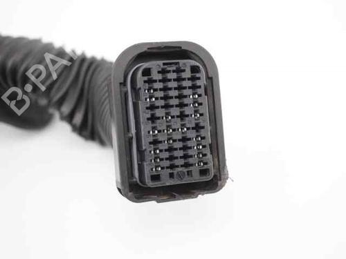 Wiring harness RENAULT KANGOO Express (FW0/1_) 1.5 dCi 75 (FW07, FW10, FW04) | BP19237680E16 