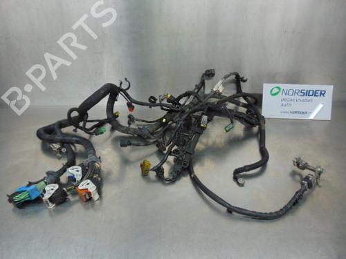 Ledningsnet FORD FOCUS II Turnier (DA_, FFS, DS) [2004-2012]  19197232