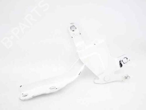 Used Hinge/Door check strap RENAULT CLIO IV (BH_) 1.5 dCi 75 (75 hp) 21199873