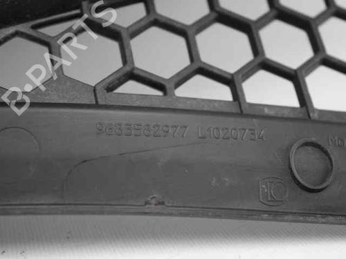 Scuttle Panel CITROËN C3 II (SC_) 1.4 HDi 70 (SC8HZC, SC8HR0, SC8HP4) | BP19244247C110 