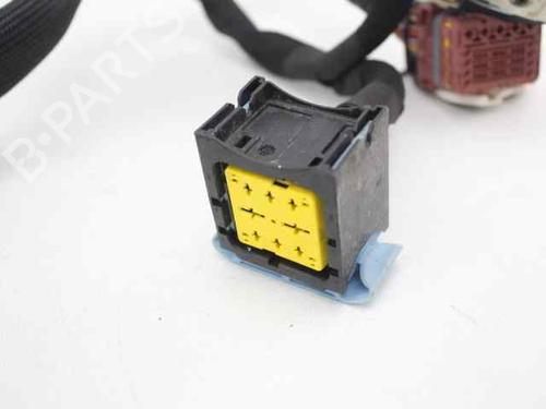 Wiring harness PEUGEOT 208 I (CA_, CC_) 1.4 HDi | BP19245682E16 