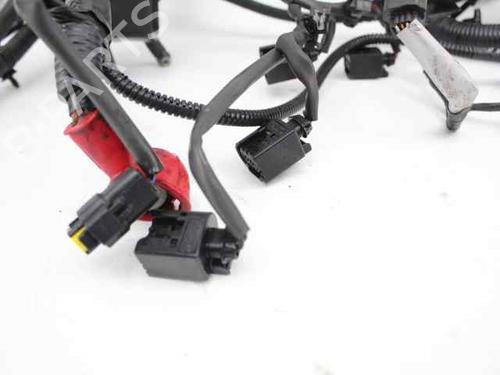 Wiring harness NISSAN QASHQAI / QASHQAI +2 I (J10, NJ10, JJ10E)  | BP19239483E16 